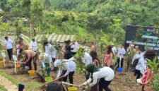 Gubernur Jatim bersama Bupati Lumajang saat tanam pohon di Bumi Perkemahan