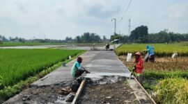 Proses pembangunan Jalan Usaha Tani