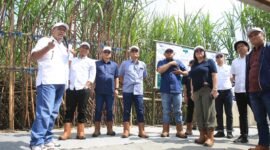 Region Head PTPN 1 rEGIONAL 4 Subagio saat menjelaskan profil kebun tebu yang akan dipanen