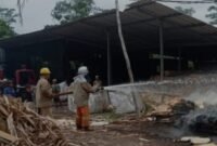 pabrik kayu terbakar