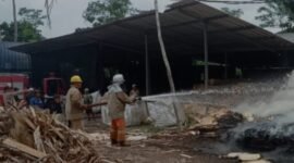 pabrik kayu terbakar