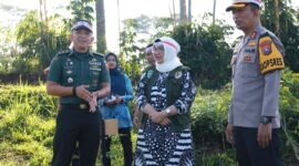 Pj. Bupati bersama Kapolres Lumajang dan Kasdim saat dilokasi penanaman 