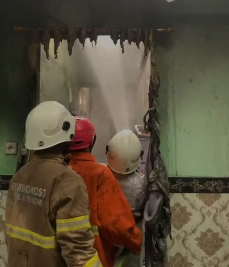 petugas pemadam kebakaran saat berjibaku memadamkan api