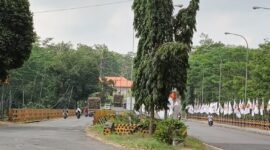 Inilah  jembatan Grobogan Lumajang yang aspalnya bergelombang 