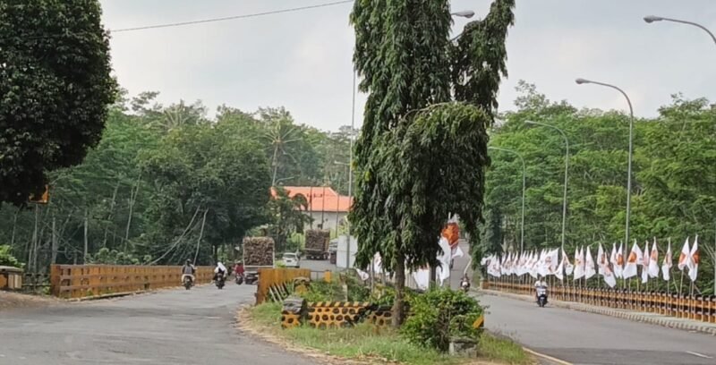 Inilah  jembatan Grobogan Lumajang yang aspalnya bergelombang 
