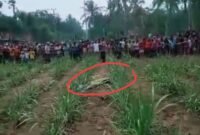 Kondisi mayat korban sebelum dievakuasi