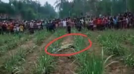 Kondisi mayat korban sebelum dievakuasi 