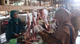 Petugas kesehatan saat melakukan pemeriksaan daging di salah satu kios di pasar baru Lumajang