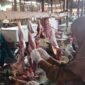 Petugas kesehatan saat melakukan pemeriksaan daging di salah satu kios di pasar baru Lumajang