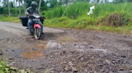 kondisi jalan Desa Kertosari saat ini