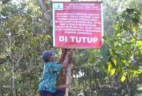 Perhutani tutup pendakian Gunung Lemongan