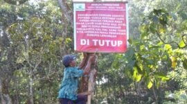 Perhutani tutup pendakian Gunung Lemongan
