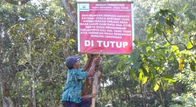 Perhutani tutup pendakian Gunung Lemongan