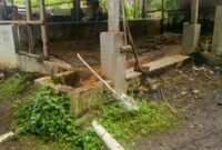 kondisi kandang sapi milik korban