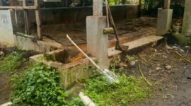 kondisi kandang sapi milik korban