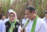 Bupati Lumajang mendapingi Menteri Pertanian dalam kunjungan kerja di Kebun Lumajang Raya  PG Jatiroto
