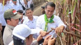 menteri Pertanian Andi Amran Sulaiman