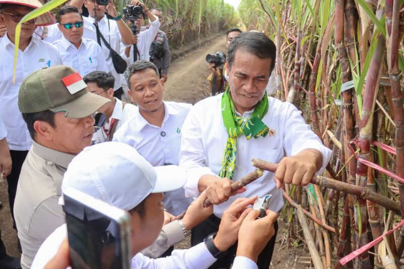 menteri Pertanian Andi Amran Sulaiman