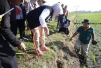 Bupati Lumajang bersama petani gropyokan anti hama tikus