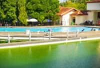 Kondisi air kolam renang Veteran berwarna hijau