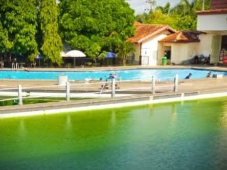 Kondisi air kolam renang Veteran berwarna hijau