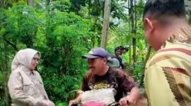 Bupati bersama Wabup saat meninjau proses pembangunan jembatan di Senduro