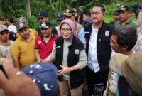 Bupati dan Wakil Bupati Lumajang menemui warga saat  bergotong royong membangun jembatatan sementara