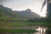 Kondisi lahan pertanian di wilayah Kecamatan Tempursari yang terendam banjir