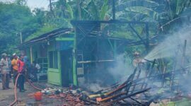 Petugas Damkar saat melakukan pemadaman api