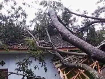 Salah satu rumah warga di wilayah Kecamatan Gucialit yang tertimpa pohon
