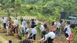 Gubernur Jatim bersama Bupati Lumajang saat tanam pohon di Bumi Perkemahan 