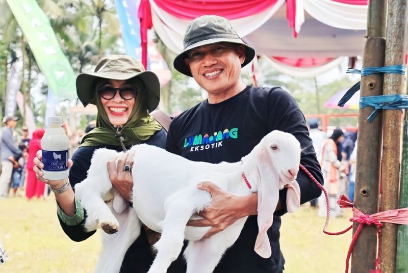 Sekda Lumajang saat menggendong anakan kambing susu Senduro